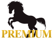 PREMIUM(プレミアム) - 投資競馬の本家本元